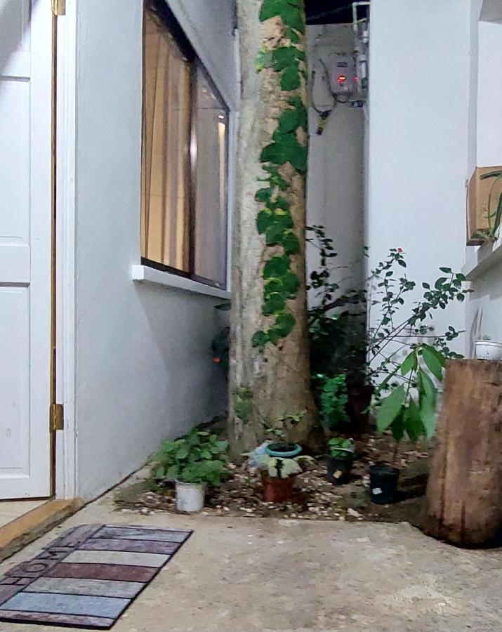 Villa Chungos Quebrada Ganado Exterior foto